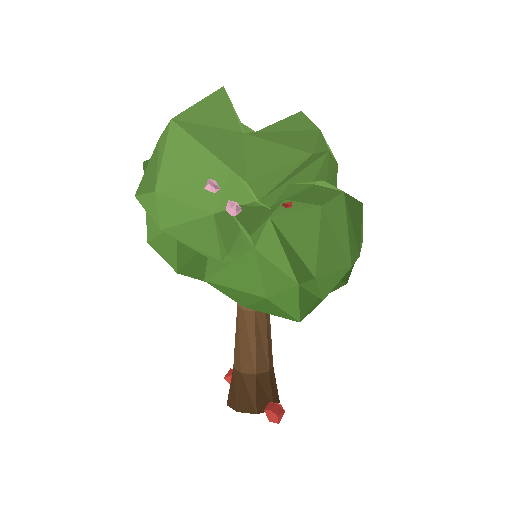 Tree Fruit 01