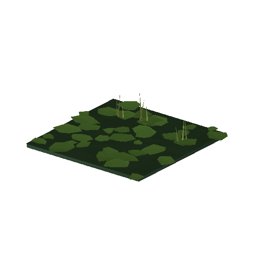 Low-poly Water 3D model: Water Open Duckweed Bayou